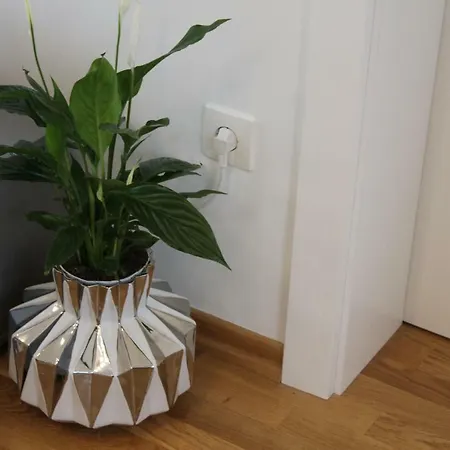 The Apartamento Makarska